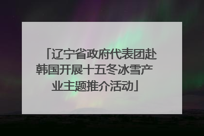 辽宁省政府代表团赴韩国开展十五冬冰雪产业主题推介活动
